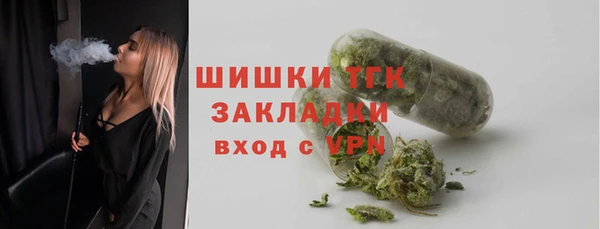 PSILOCYBIN Балабаново