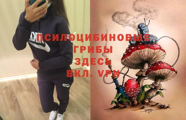 шишки Балахна