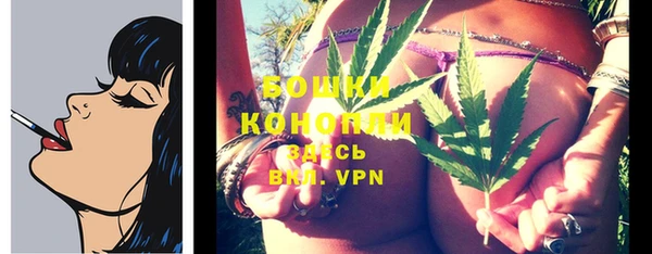шишки Балахна